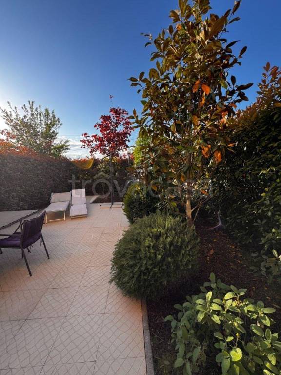 casa indipendente in vendita a Monsummano Terme