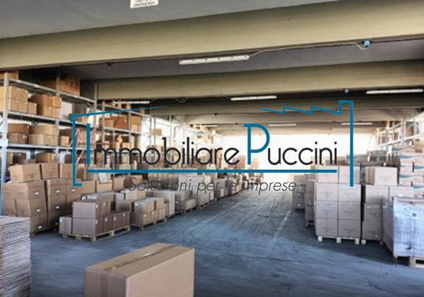 capannone in vendita a Monsummano Terme