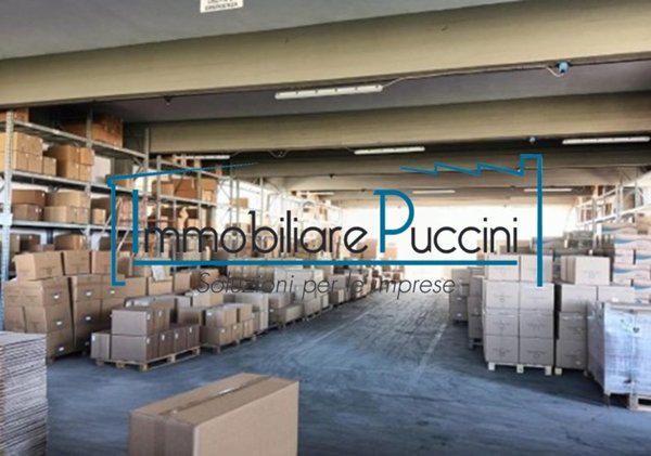 locale commerciale in vendita a Monsummano Terme