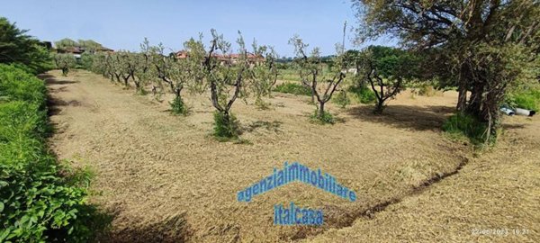 terreno agricolo in vendita a Monsummano Terme in zona Grotta Parlanti