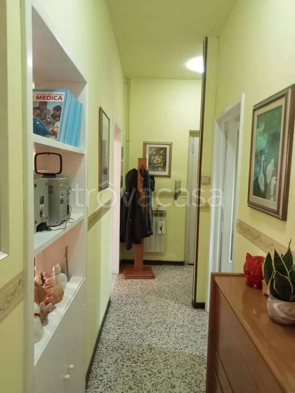 immagine annuncio 0 di 11
