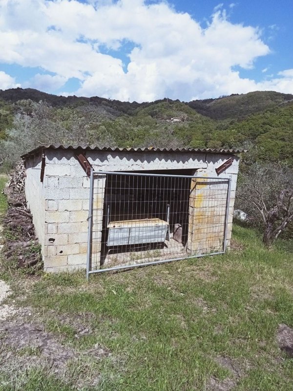 casale in vendita a Monsummano Terme in zona Montevettolini