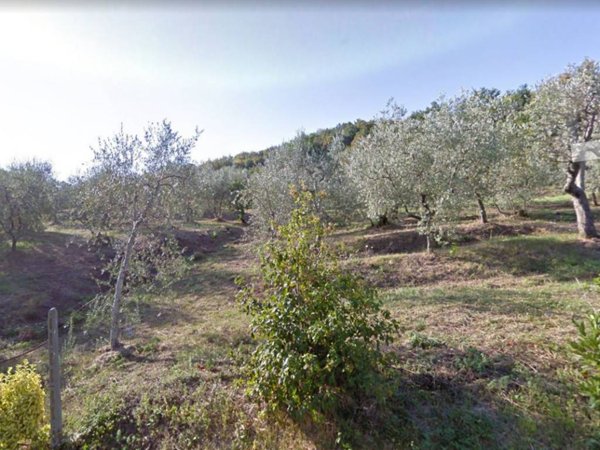 terreno agricolo in vendita a Monsummano Terme in zona Monsummano Alto