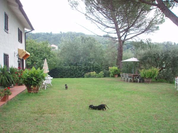 casa indipendente in vendita a Monsummano Terme in zona Montevettolini