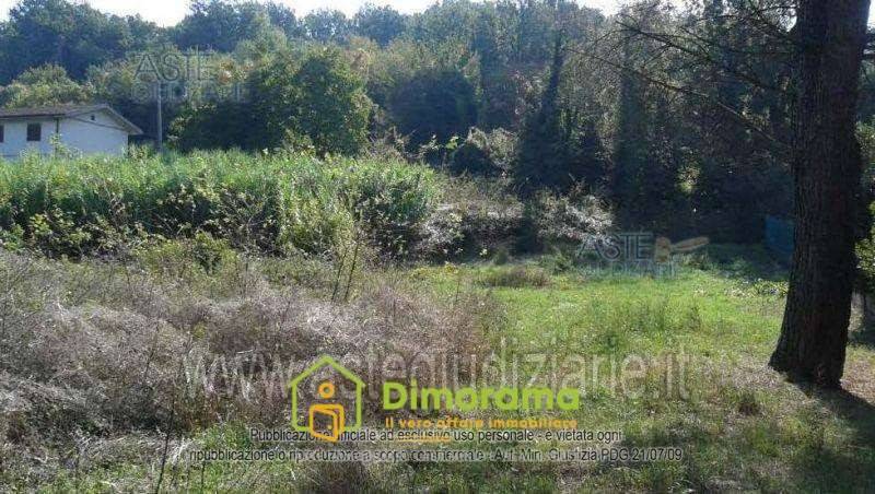 appartamento in vendita a Monsummano Terme