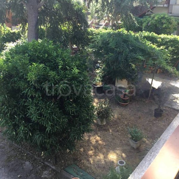 appartamento in vendita a Monsummano Terme in zona Pozzarello