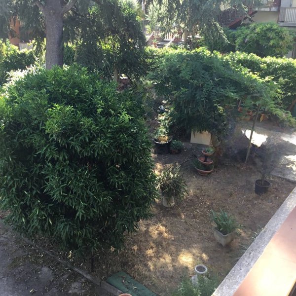 appartamento in vendita a Monsummano Terme