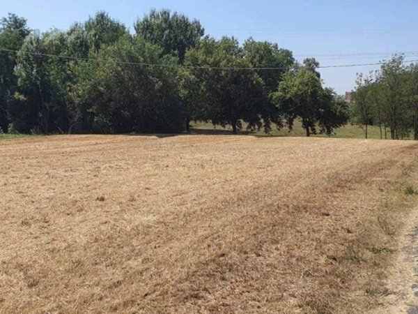terreno agricolo in vendita a Monsummano Terme in zona Pozzarello