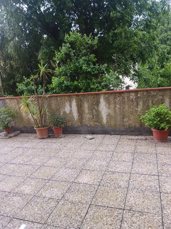 appartamento in vendita a Monsummano Terme