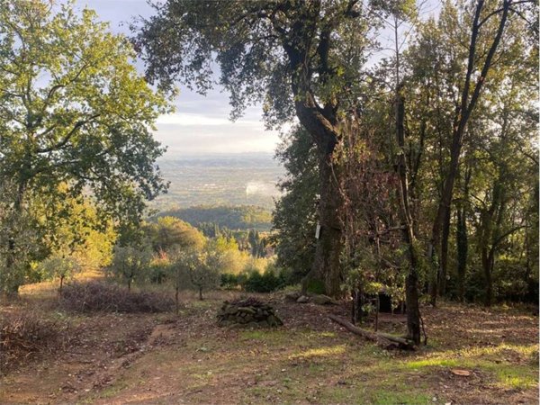 terreno agricolo in vendita a Monsummano Terme in zona Montevettolini