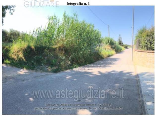 terreno agricolo in vendita a Monsummano Terme