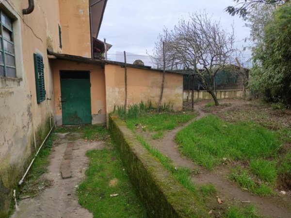 casa indipendente in vendita a Monsummano Terme