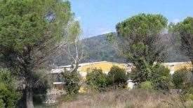 terreno agricolo in vendita a Monsummano Terme