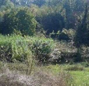 appartamento in vendita a Monsummano Terme