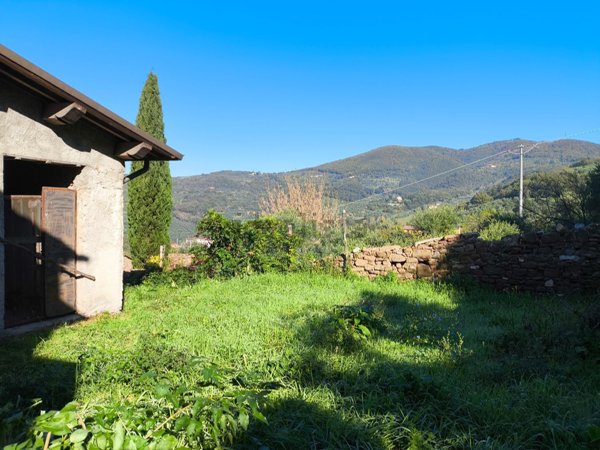 pentavano in vendita a Monsummano Terme in zona Montevettolini
