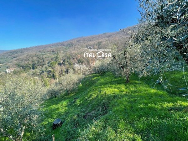 terreno agricolo in vendita a Monsummano Terme