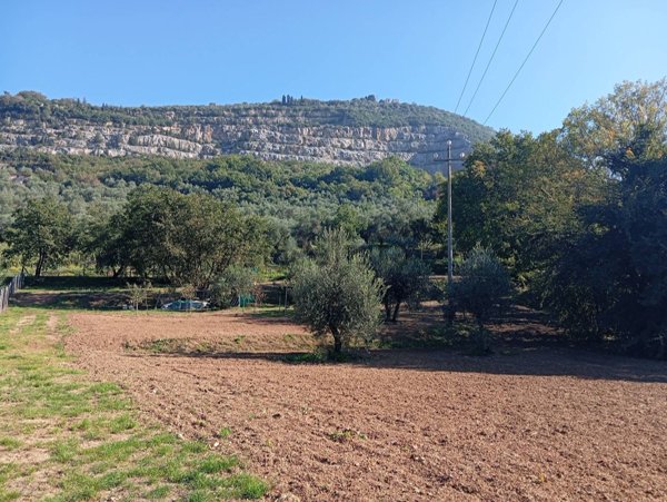 terreno agricolo in vendita a Monsummano Terme in zona Grotta Giusti