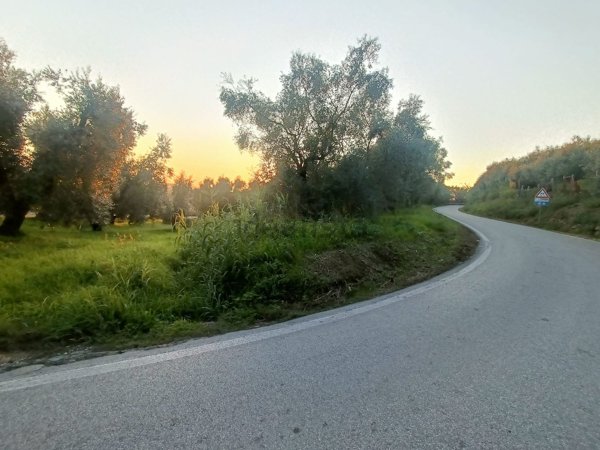 terreno agricolo in vendita a Monsummano Terme in zona Pozzarello
