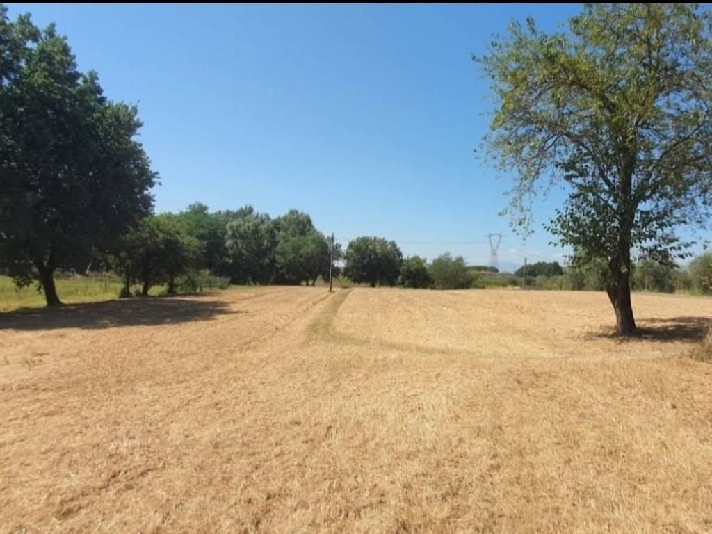 terreno agricolo in vendita a Monsummano Terme in zona Pozzarello