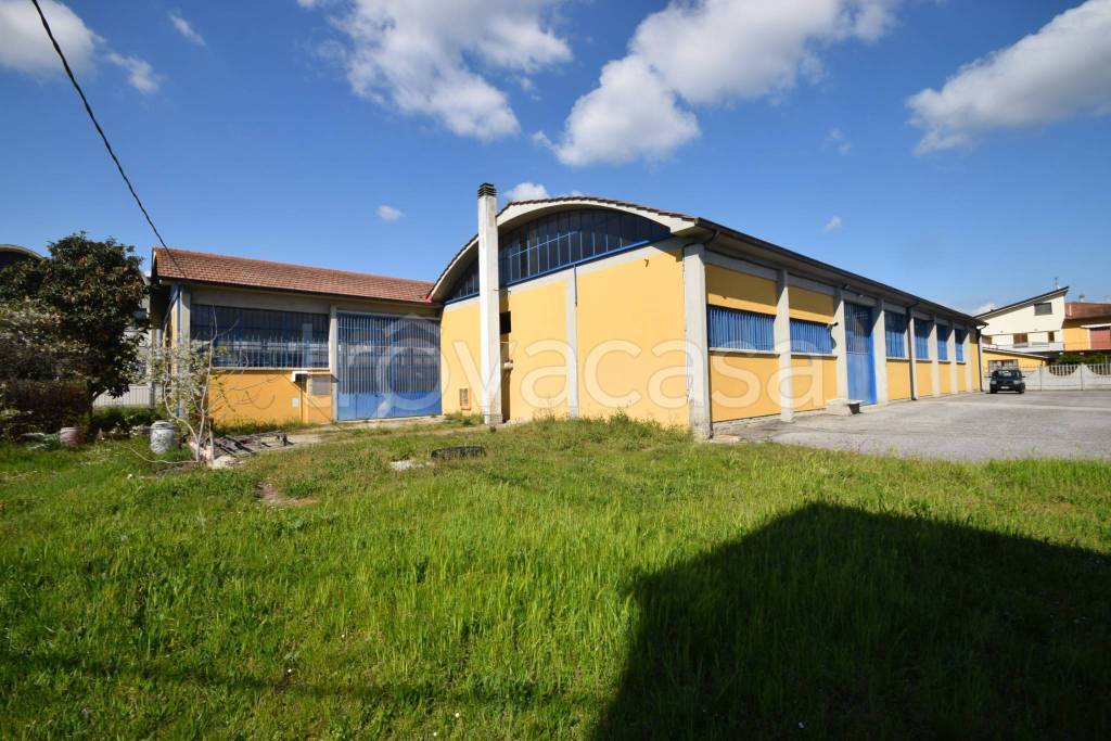 appartamento in vendita a Monsummano Terme