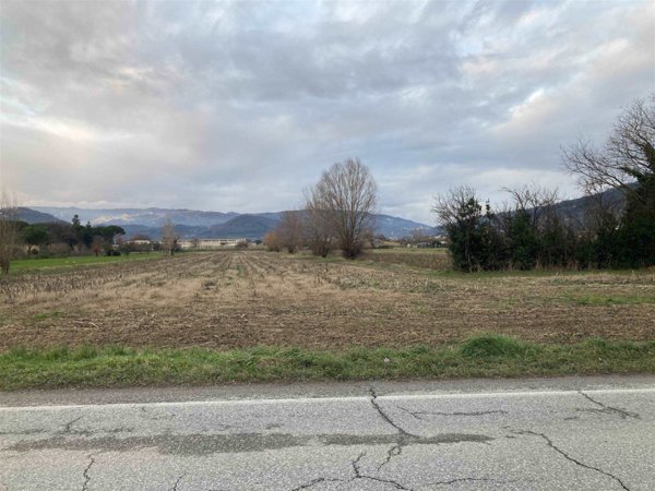 terreno agricolo in vendita a Monsummano Terme