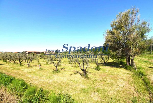 terreno agricolo in vendita a Monsummano Terme in zona Grotta Parlanti