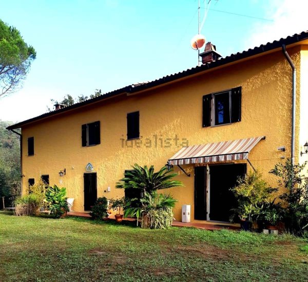 esavano in vendita a Monsummano Terme