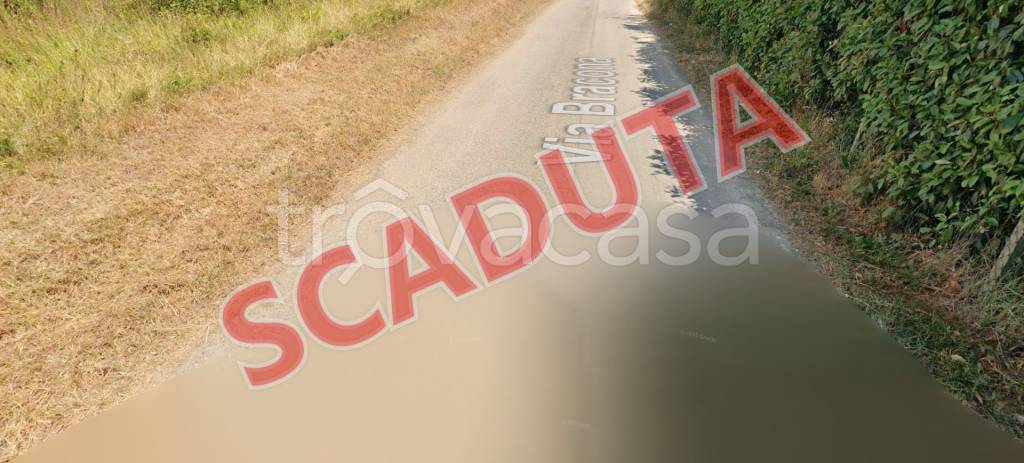 terreno agricolo in vendita a Monsummano Terme