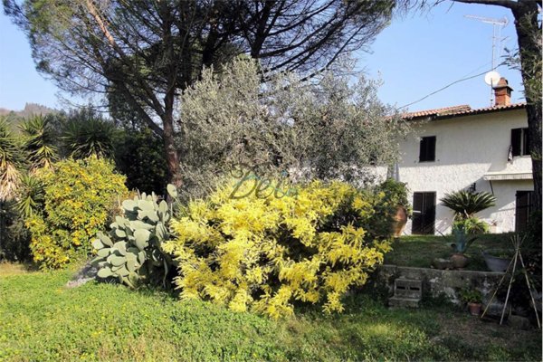 casa indipendente in vendita a Monsummano Terme in zona Montevettolini