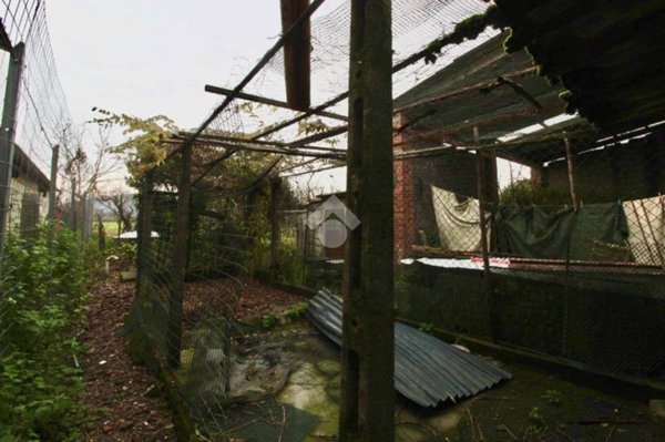 casa indipendente in vendita a Monsummano Terme