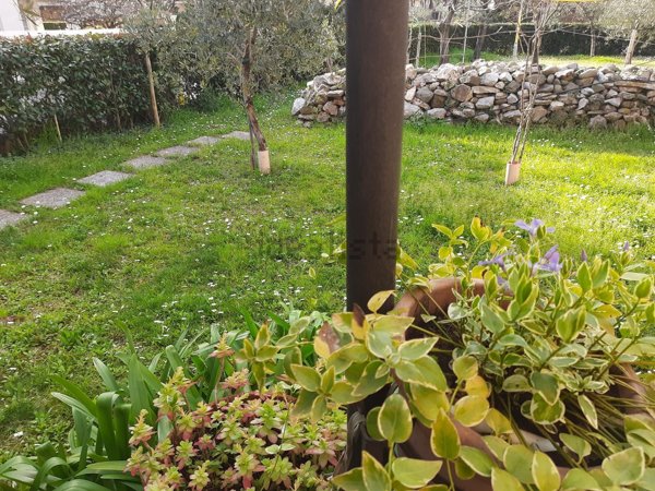 casa indipendente in vendita a Monsummano Terme