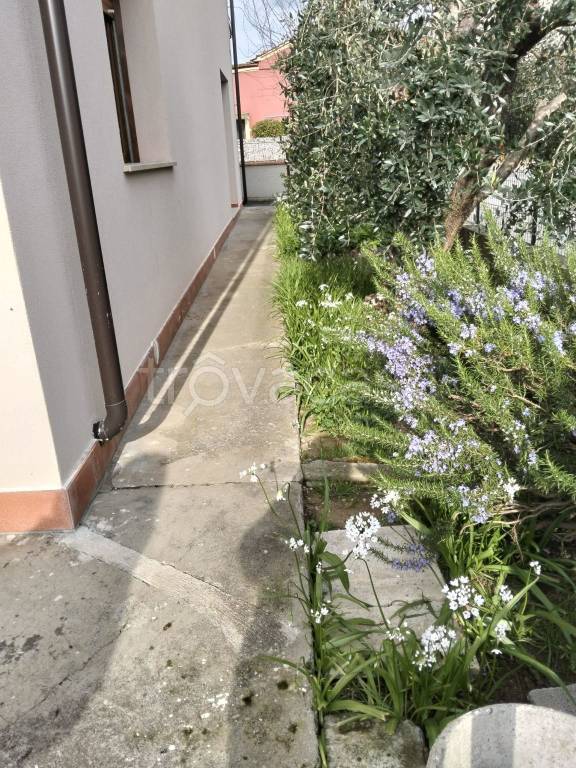casa indipendente in vendita a Monsummano Terme in zona Cintolese