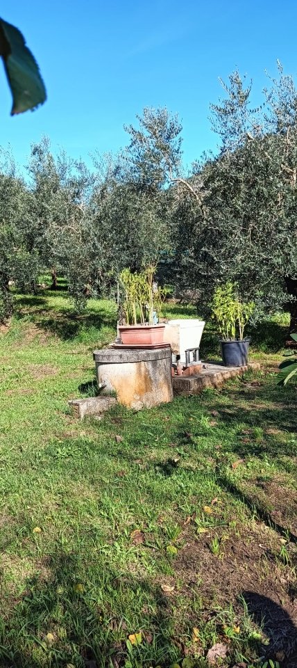 terreno agricolo in vendita a Monsummano Terme in zona Grotta Giusti