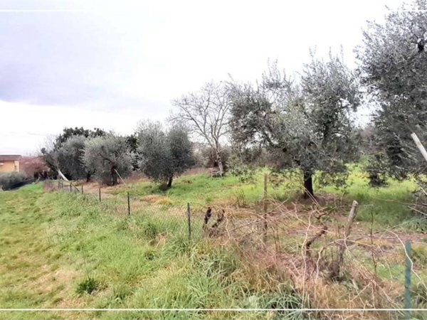 terreno agricolo in vendita a Monsummano Terme in zona Monsummano Alto