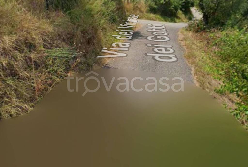 terreno agricolo in vendita a Monsummano Terme