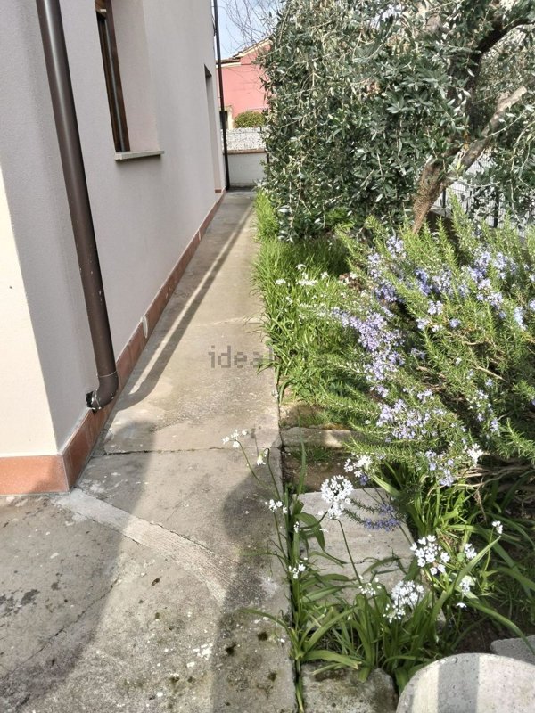 appartamento in vendita a Monsummano Terme in zona Cintolese