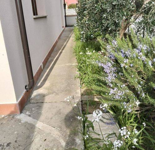 casa indipendente in vendita a Monsummano Terme in zona Bizzarrino