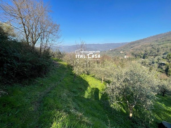 terreno agricolo in vendita a Monsummano Terme