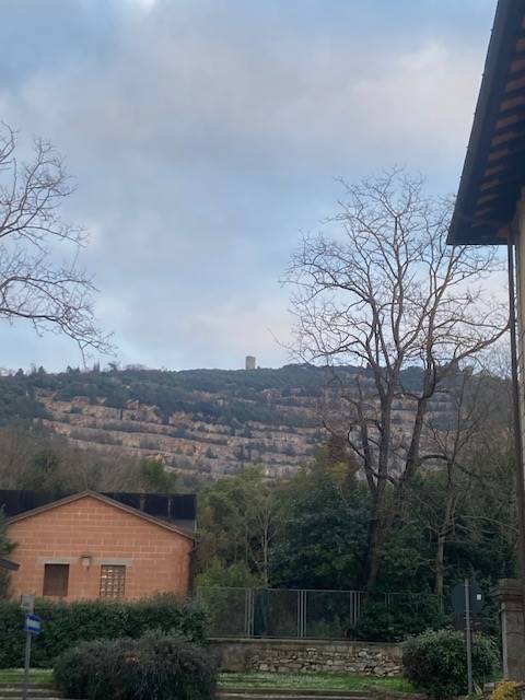 appartamento in vendita a Monsummano Terme