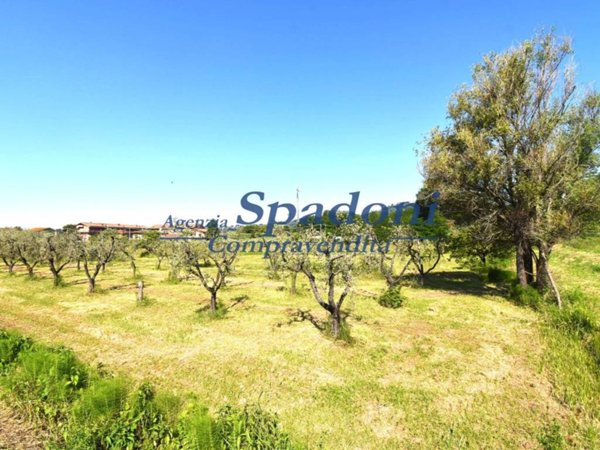terreno agricolo in vendita a Monsummano Terme in zona Grotta Parlanti