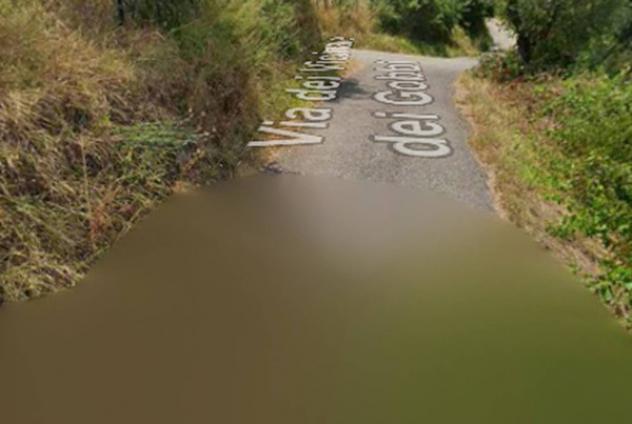 terreno agricolo in vendita a Monsummano Terme