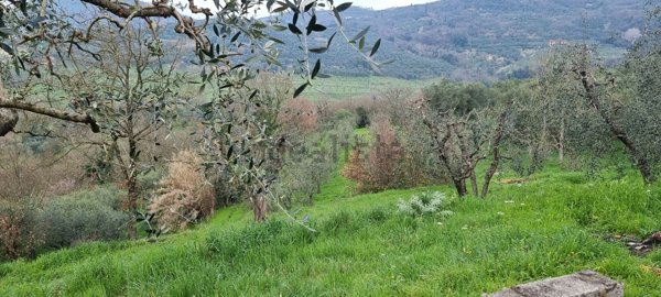 casa indipendente in vendita a Monsummano Terme in zona Montevettolini