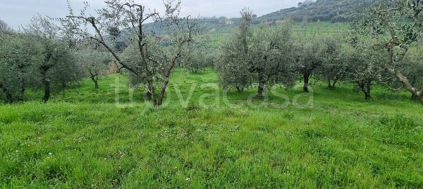 casa indipendente in vendita a Monsummano Terme in zona Montevettolini