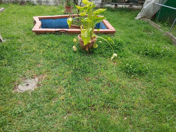 casa indipendente in vendita a Monsummano Terme