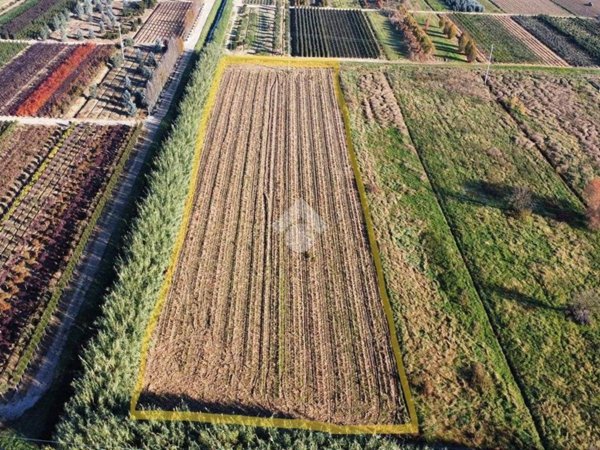 terreno agricolo in vendita a Montale in zona Stazione