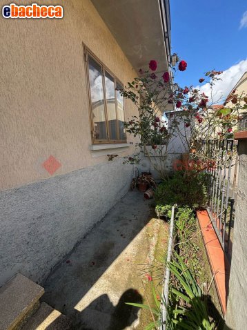 appartamento in vendita a Montale