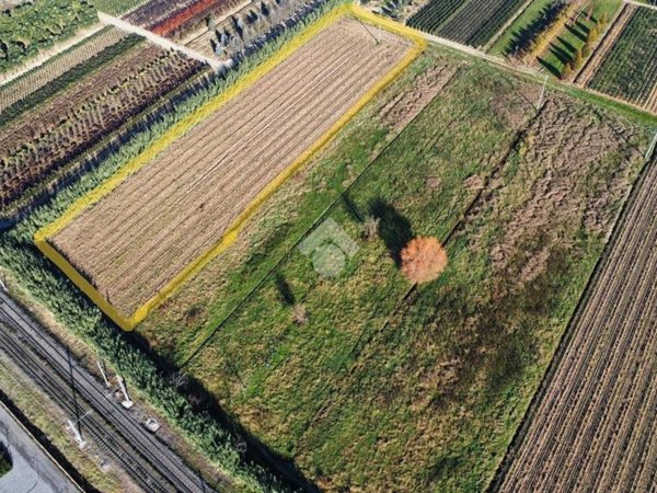 terreno agricolo in vendita a Montale in zona Stazione