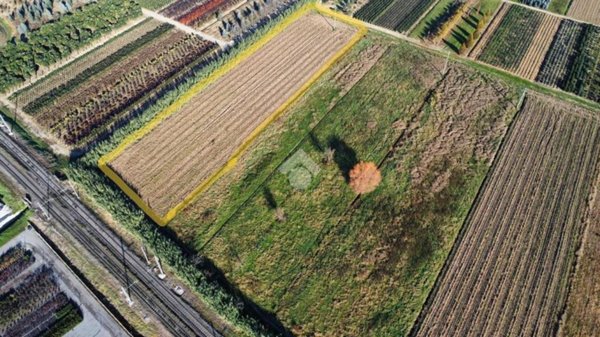 terreno agricolo in vendita a Montale in zona Stazione