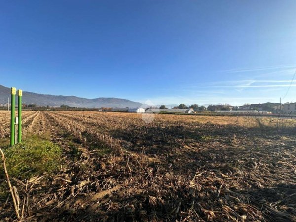 terreno agricolo in vendita a Montale in zona Stazione