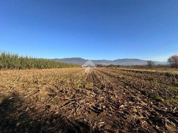 terreno agricolo in vendita a Montale in zona Stazione
